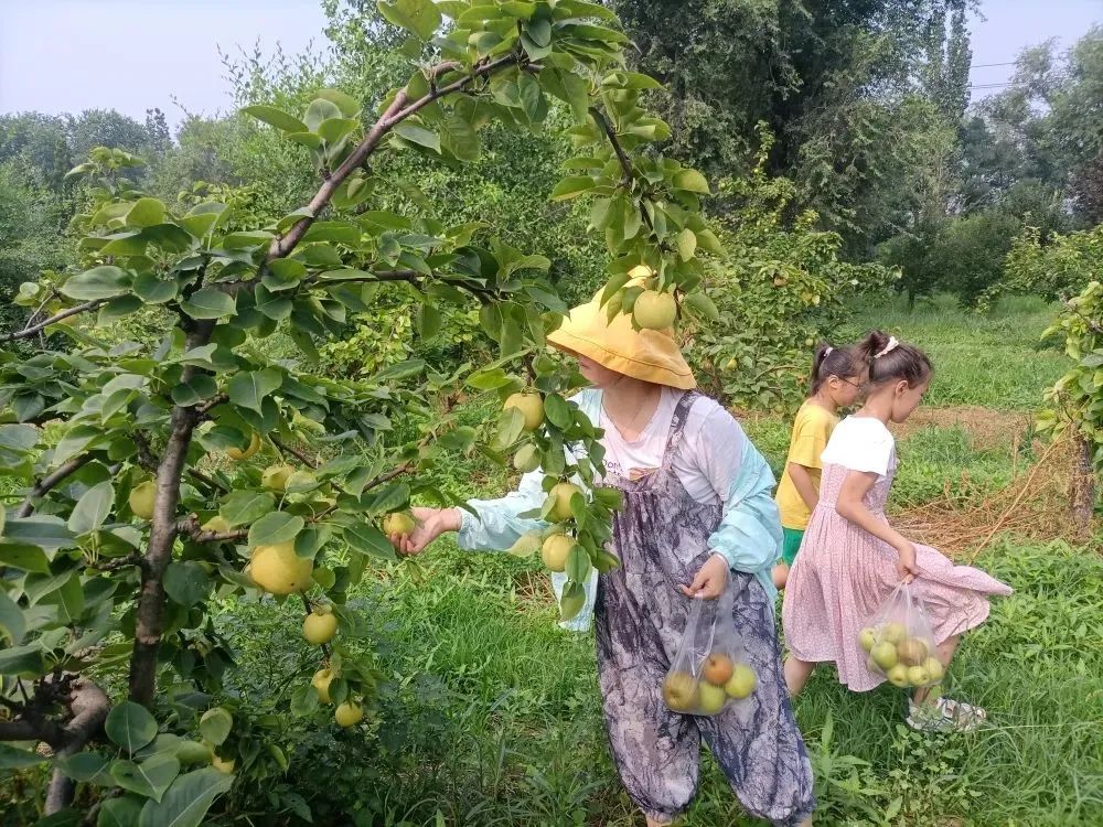 林海果蔬采摘节